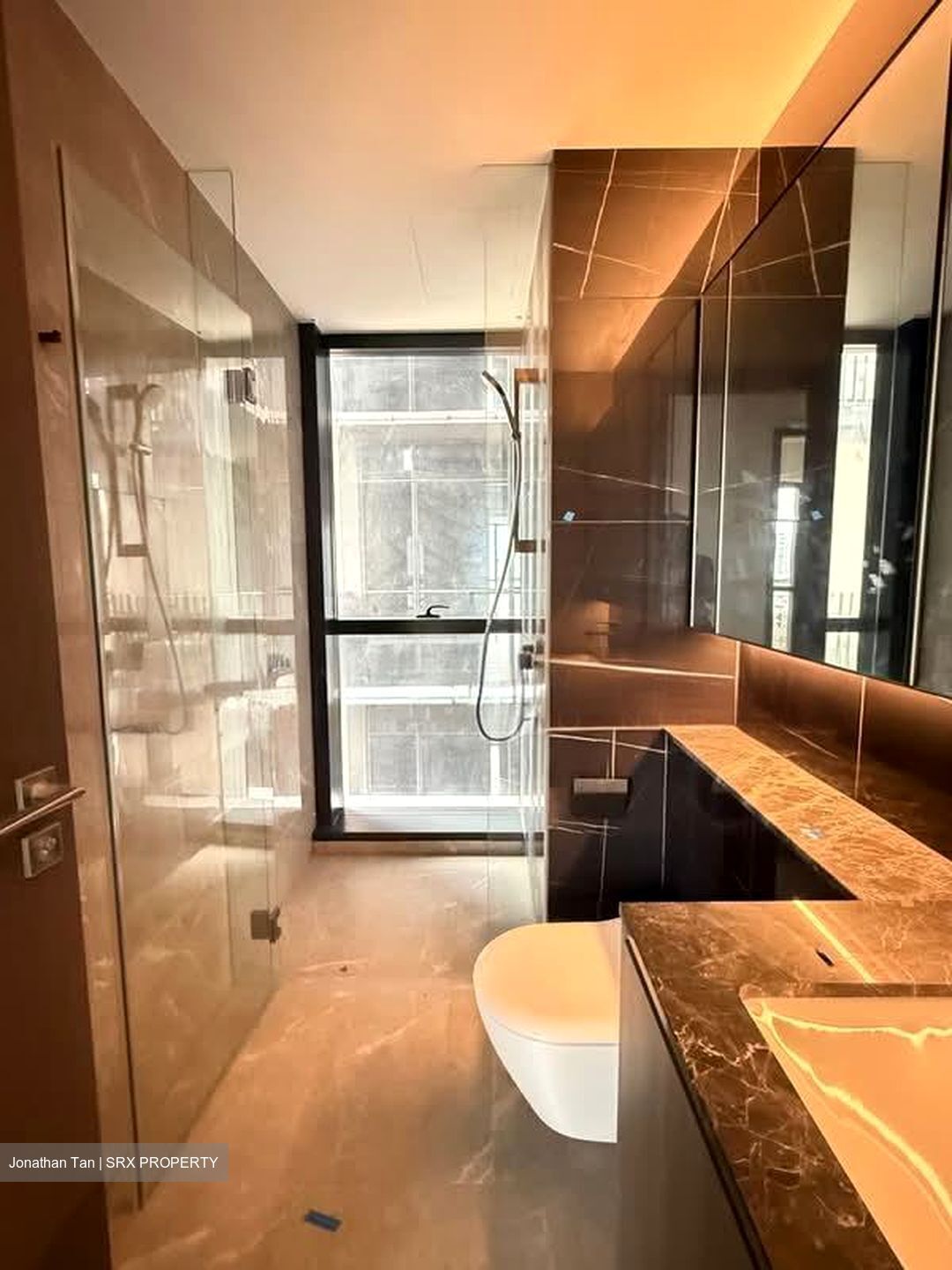 Piccadilly Grand (D8), Apartment #583359641